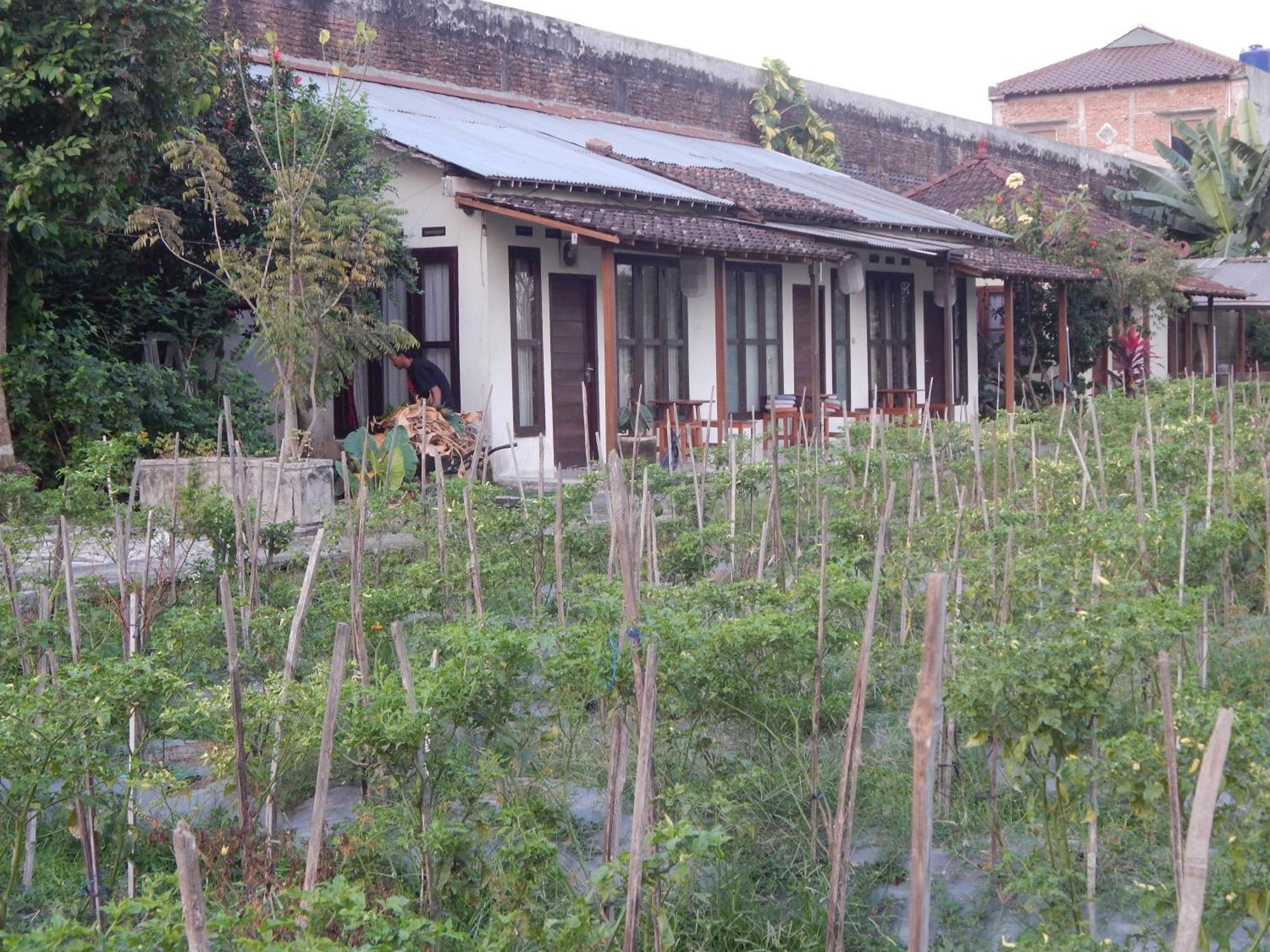 Rosella Cottages - Homestay - Yogyakarta Exterior photo